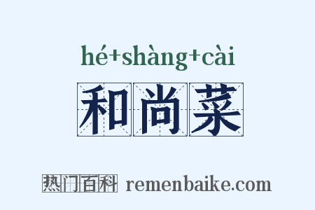 和尚菜是什么意思的图片